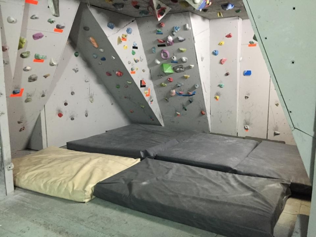  palestra roka